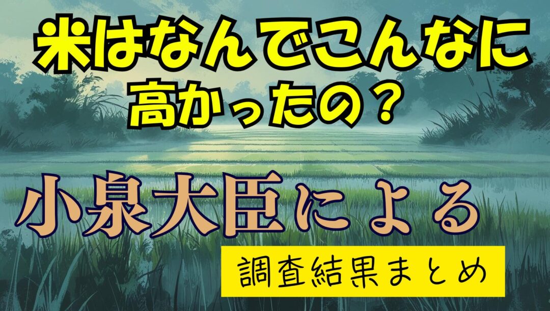 何故米はこんなにも高かったのか？小泉大臣の調査で判明した『営業利益500％』と政府対策の行方